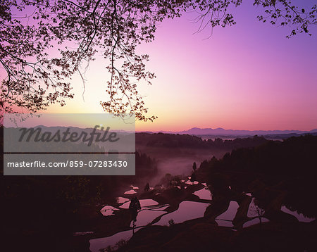 Terrace Of Gamo, Niigata, Japan