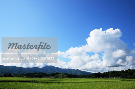Thunderhead Cloud, Gosen, Niigata, Japan