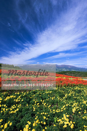 Mt. Nasu From Nasu Flower World, Tochigi, Japan