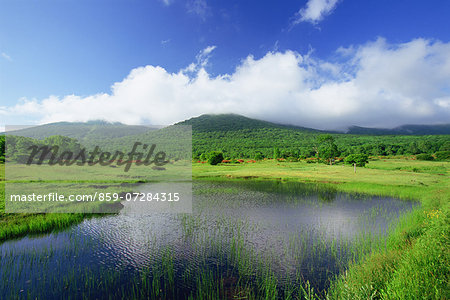 Appi Highland, Iwate, Japan