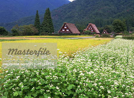 Shirakawa, Gifu, Japan Shirakawa, Gifu, Japan