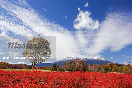 Kaida Highland, Nagano, Japan