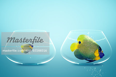 Large and small angelfish,conceptual image for diet, fat.