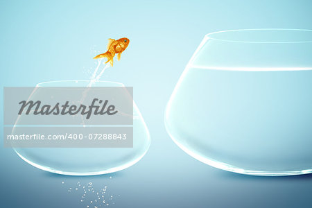 goldfish in small fishbowl watching goldfish jump into large fishbowl