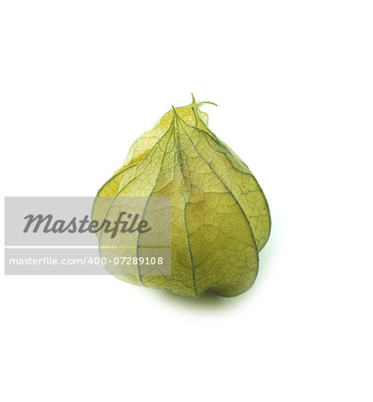 Cape gooseberry, physalis isolated on white background.  (with clipping work path)