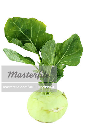 Cabbage kohlrabi on white background