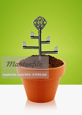 Tree key on garden clay pot.