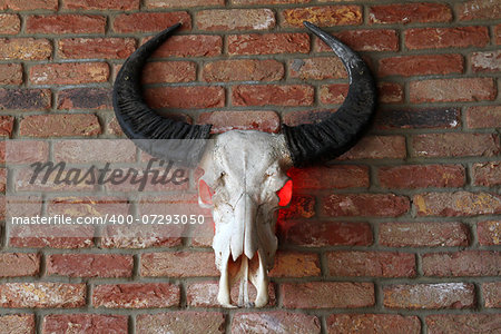 A decorative animal skull with horns and red eyes