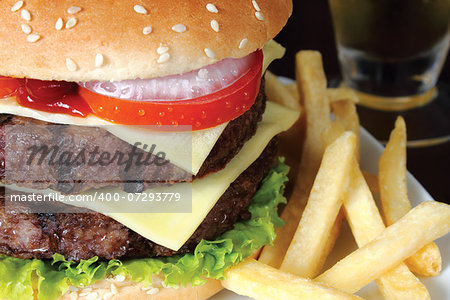 burger and fries on a dish