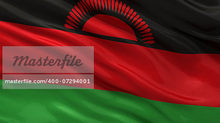 Flag of Malawi waving in the wind