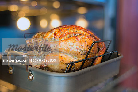 Turkey Cooked Brined and Seasoned with Spices in Roasting Pan for Thanksgiving Dinner with Blurred Oven Background