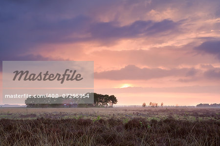 calm pink sunset over home among swamps, Drenthe, Netherlands