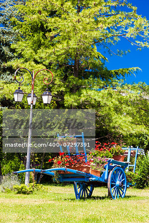 cart with flowers, Saint-Julien-en-Beauchen, Provence, France