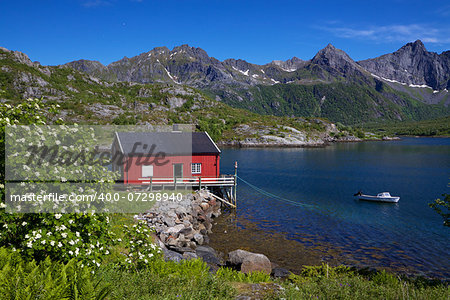 Typical red fishing hut in fjord on Lofoten islands in Norway