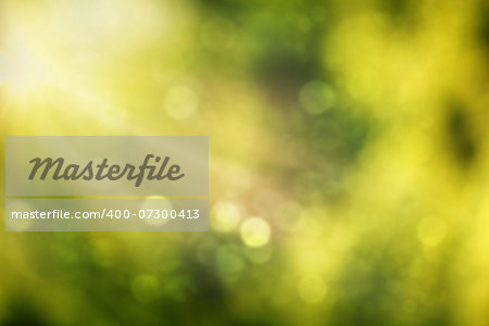 Abstract real nature green blurred background with bokeh