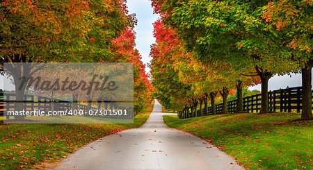 Road between horse farms in rural Kentucky