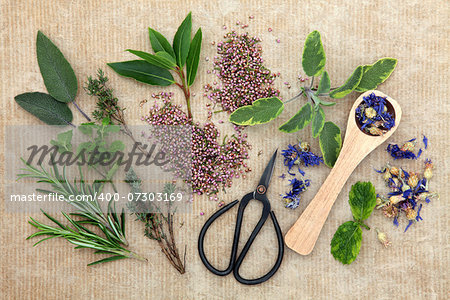Herb selection with old gardening scissors over brown paper background.
