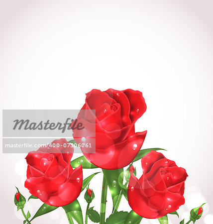 Illustration three roses for design wedding card - vector