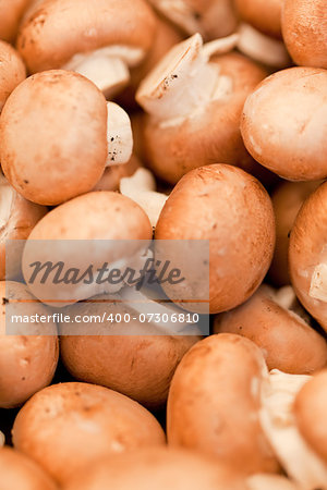 fresh brown champignons on market outdoor in summer macro closeup