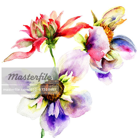 Stylized flowers, watercolor illustration