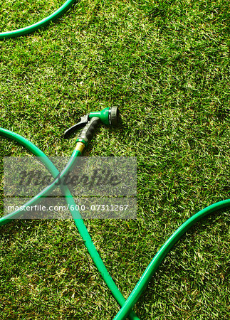 Garden Hose on Grass Garden Hose on Grass