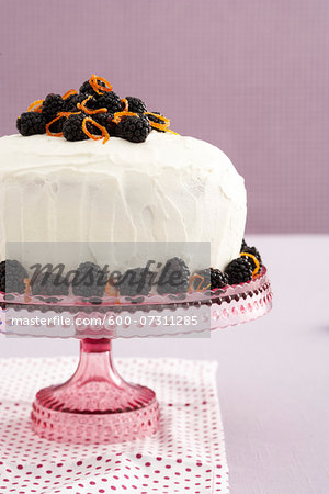 Sponge Cake with Blackberries, Studio Shot Sponge Cake with Blackberries, Studio Shot