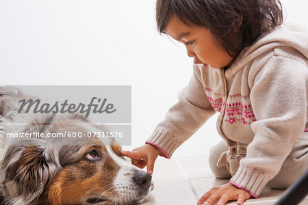 Toddler Girl touching Australian Shapherd Dog's Eye