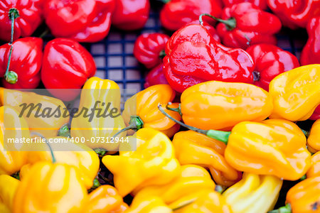 fresh healthy red yellow geen paprika pepper macro closeup market outdoor