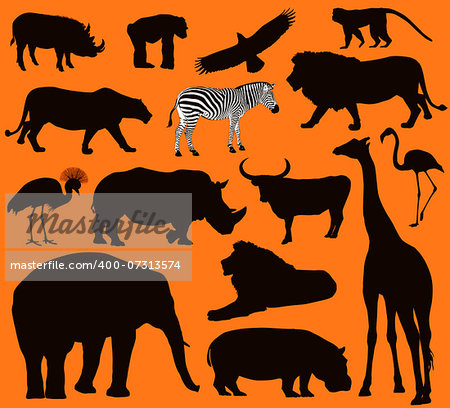 African animals silhouettes set. Vector illustration. EPS 10