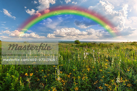 Rainbow over flower meadow, summer landscape