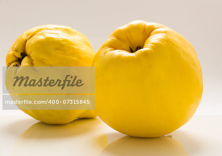 Beautiful photo quince fruit on a white background .