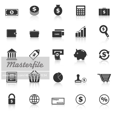 Money icons with reflect on white background, stock vector