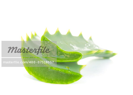 pieces of aloe vera isolated on white background