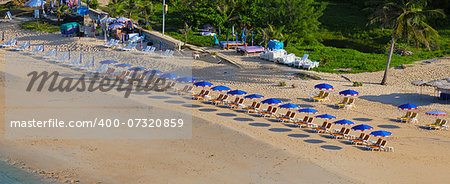 The beach near the tropical sea with umbrellas