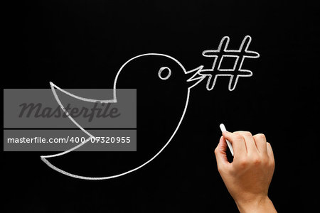Hand sketching bird holding a hashtag symbol in its beak with white chalk on a blackboard.