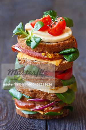 Big sandwich on a wooden background close-up.