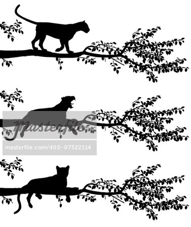 Set of three editable vector silhouettes of a leopard on a tree branch with leopards as separate objects