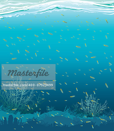 Nature seascape with fish and coral reef. Underwater vector.