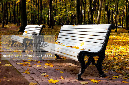 Benches in Idyllic park area