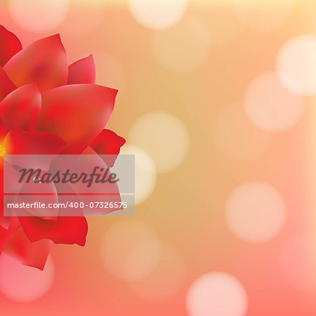 Red Flower With Water Drops Bokeh, With Gradient Mesh, Vector Illustration