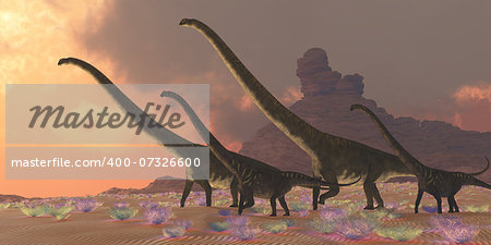 Two youngsters accompany two older adult Mamenchisaurus dinosaurs as they look for better vegetation to eat.