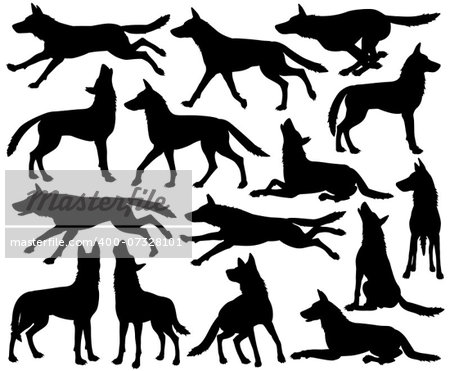 Set of editable vector silhouettes of wolves in different poses