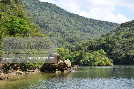 View from the river Urauchi at the tropical japanese island Iriomote