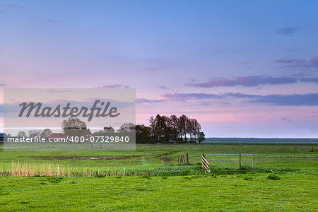 little farmhouse on meadow at calm pink sunrise