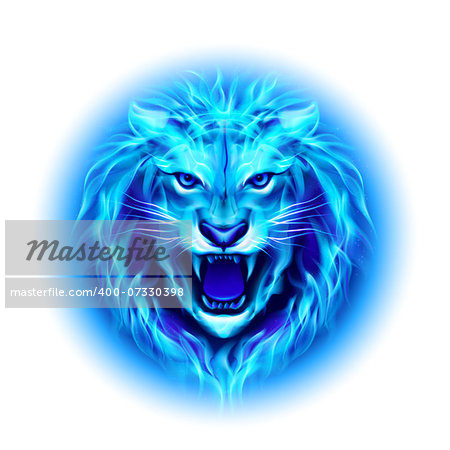 Head of aggressive blue fire lion isolated on white background.