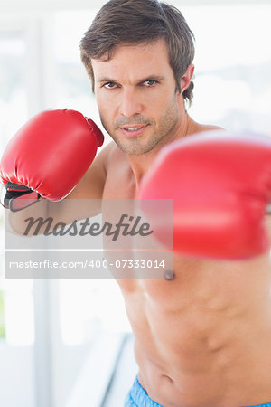 Portrait of a determined male boxer in the gym
