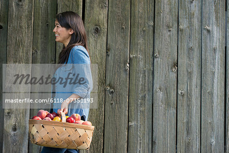 A woman carrying a basket of freshly picked fruit. Plums and peaches.