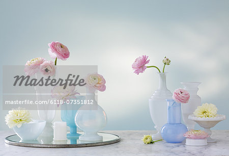 A group of containers, jugs and vases with a variety of pastel coloured delicate flowers. Studio shot.