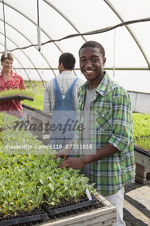 Three teenage boys working in a large greenhouse, tending and sorting trays of seedlings.