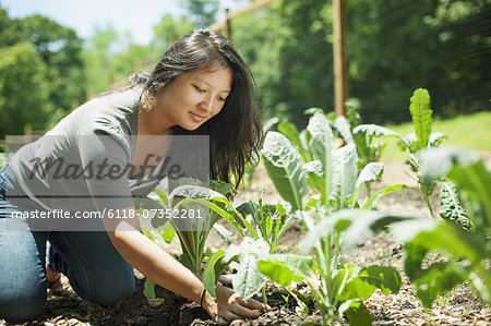 A young woman on a traditional farm in the countryside of New York State, USA